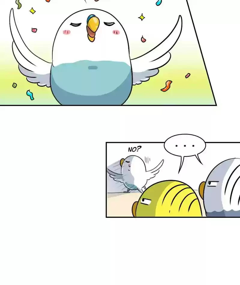 A Budgie's Life Chapter 278: Ep.277: