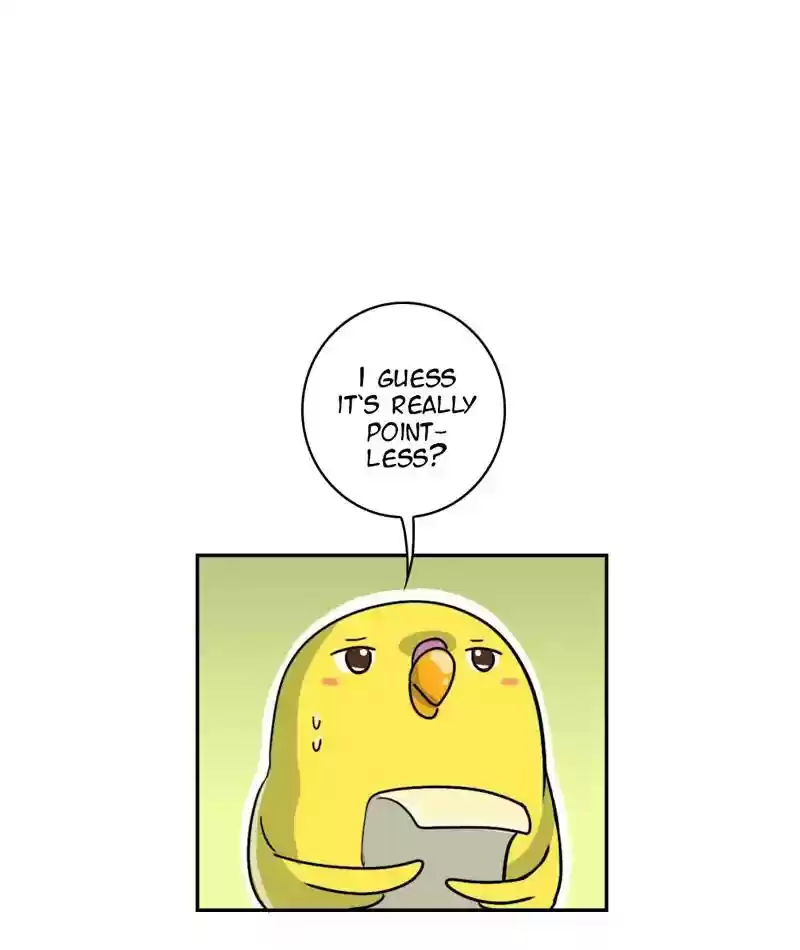 A Budgie's Life Chapter 278: Ep.277: