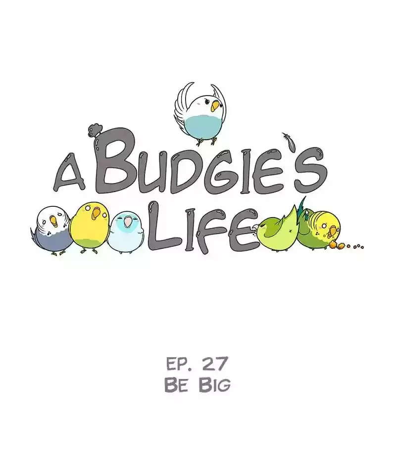 A Budgie's Life Chapter 279: Ep.278: