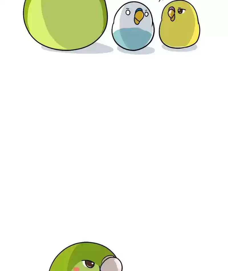 A Budgie's Life Chapter 279: Ep.278: