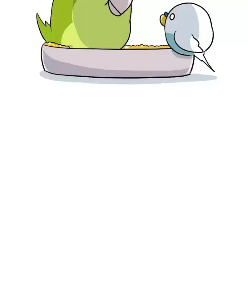 A Budgie's Life Chapter 279: Ep.278: