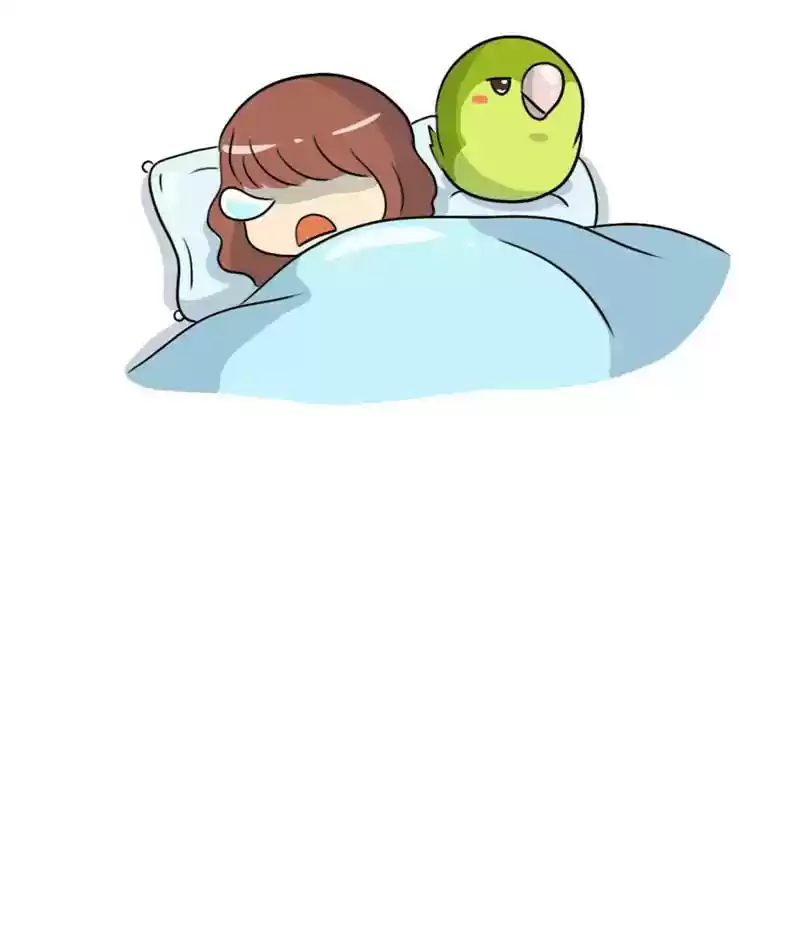 A Budgie's Life Chapter 279: Ep.278: