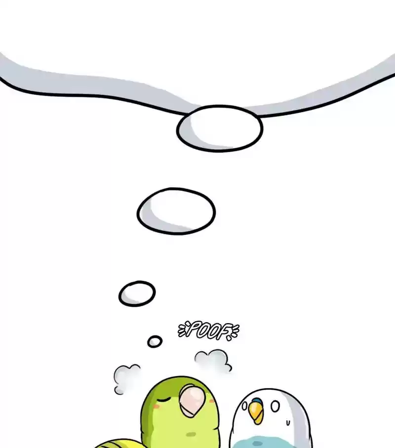A Budgie's Life Chapter 279: Ep.278: