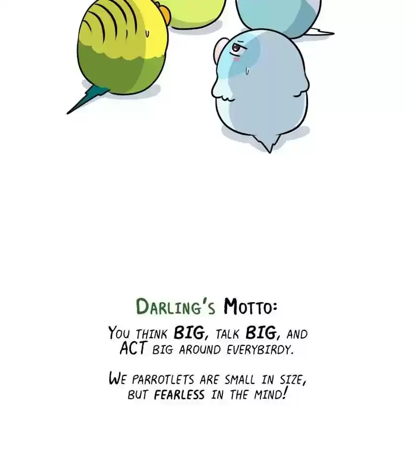 A Budgie's Life Chapter 279: Ep.278:
