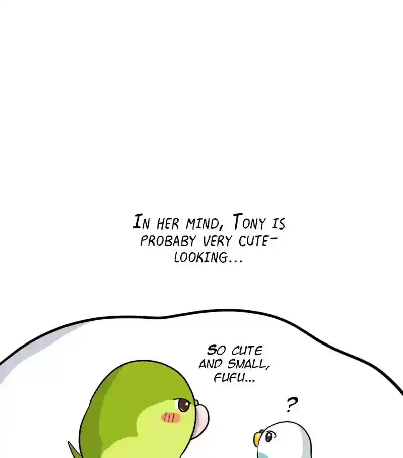 A Budgie's Life Chapter 279: Ep.278: