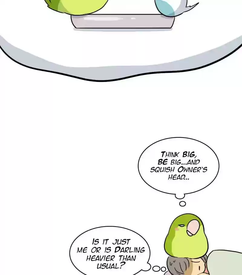 A Budgie's Life Chapter 279: Ep.278: