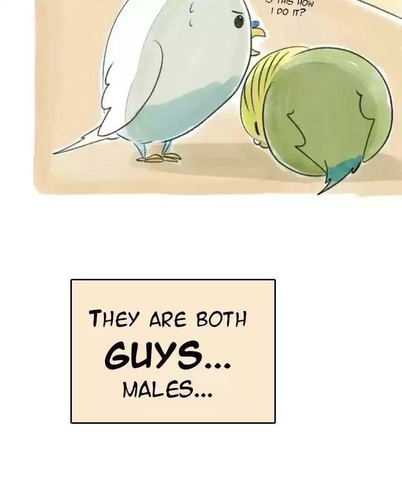 A Budgie's Life Chapter 28: Ep.28: