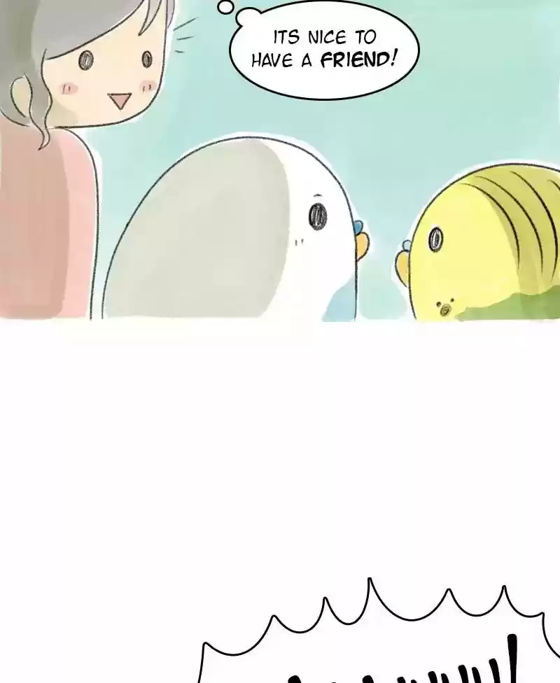 A Budgie's Life Chapter 28: Ep.28: