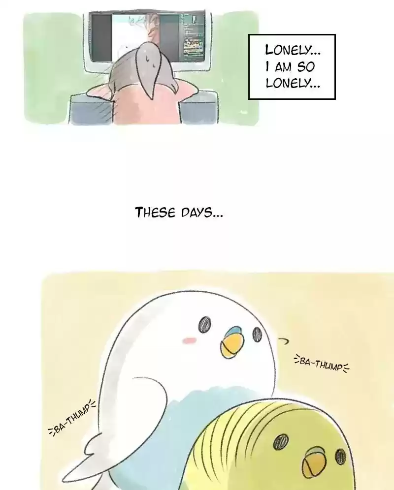 A Budgie's Life Chapter 28: Ep.28: