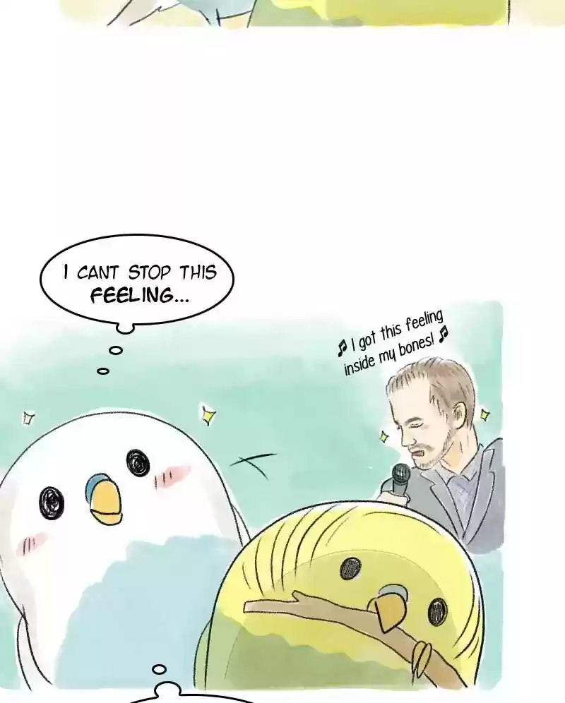 A Budgie's Life Chapter 28: Ep.28: