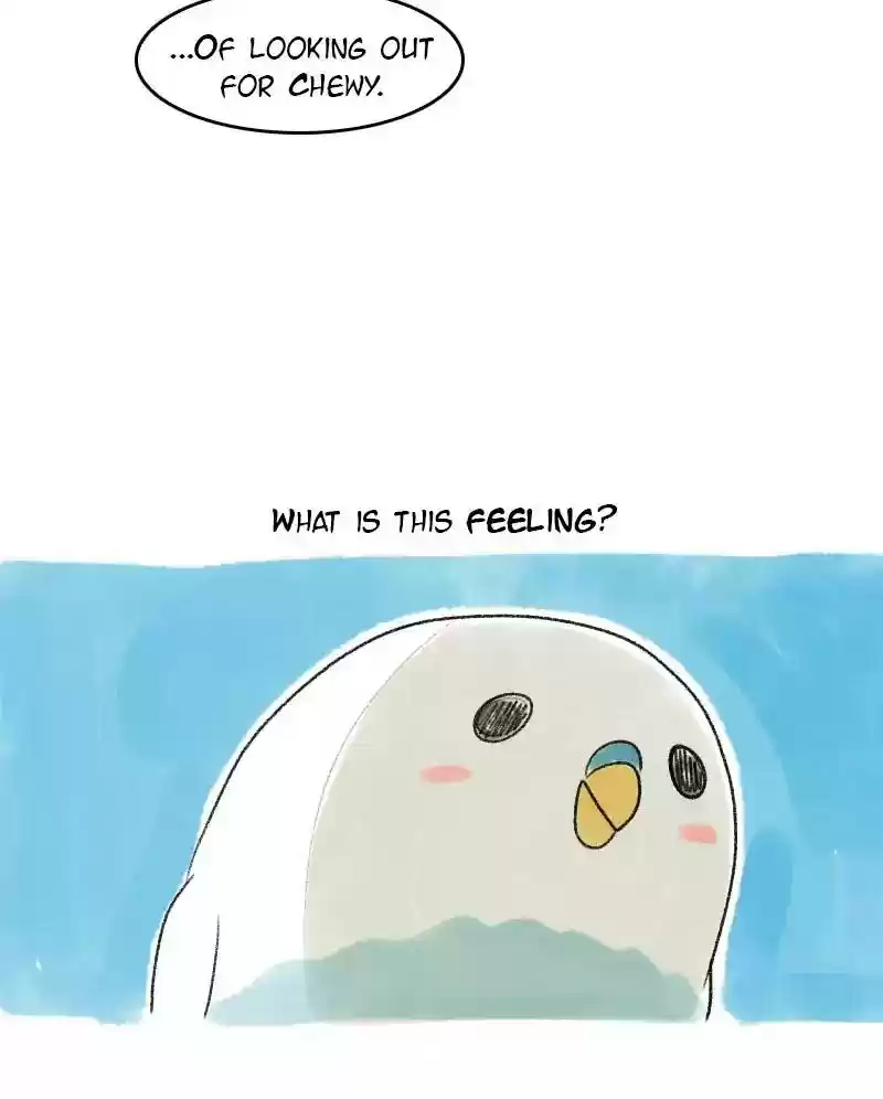 A Budgie's Life Chapter 28: Ep.28: