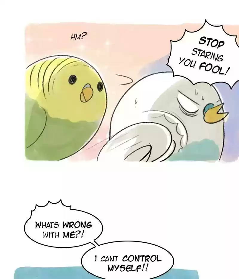 A Budgie's Life Chapter 28: Ep.28: