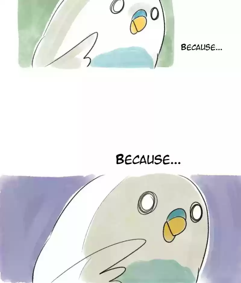 A Budgie's Life Chapter 28: Ep.28:
