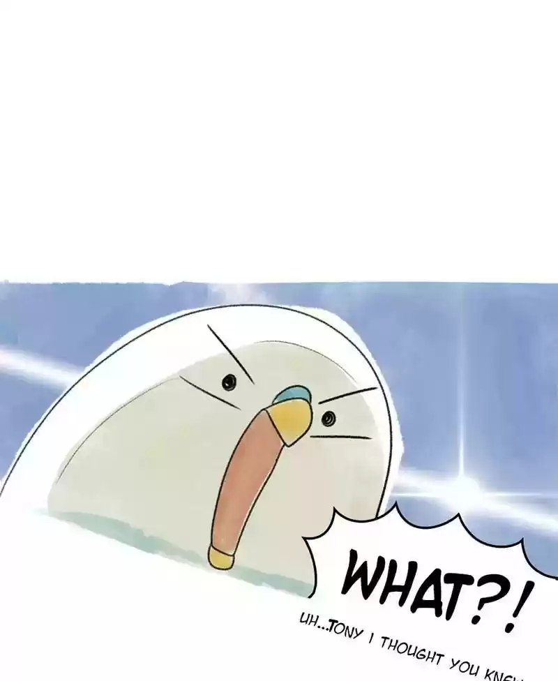 A Budgie's Life Chapter 28: Ep.28: