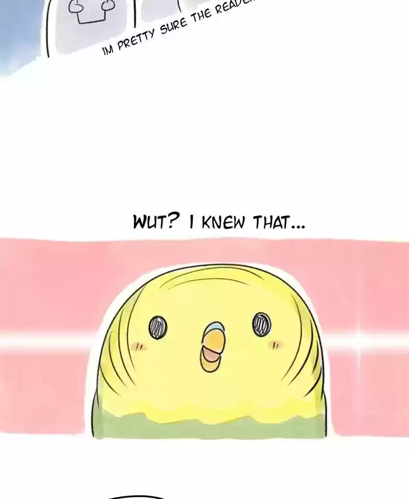 A Budgie's Life Chapter 28: Ep.28: