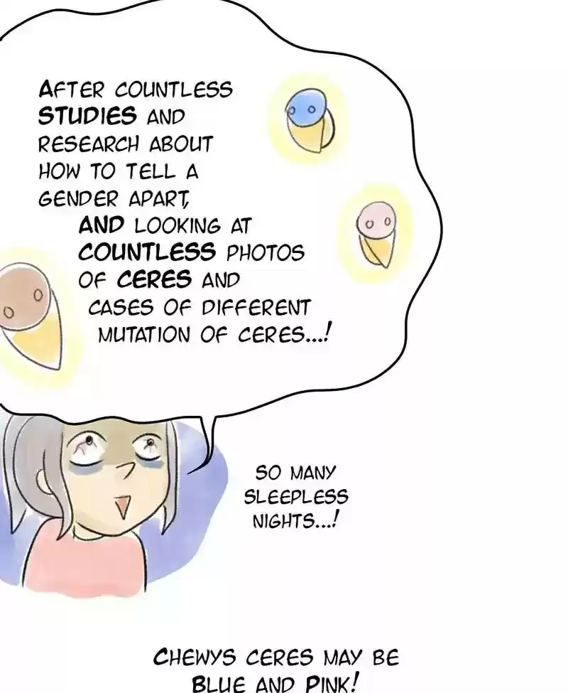 A Budgie's Life Chapter 28: Ep.28: