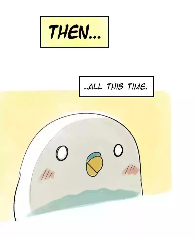 A Budgie's Life Chapter 28: Ep.28: