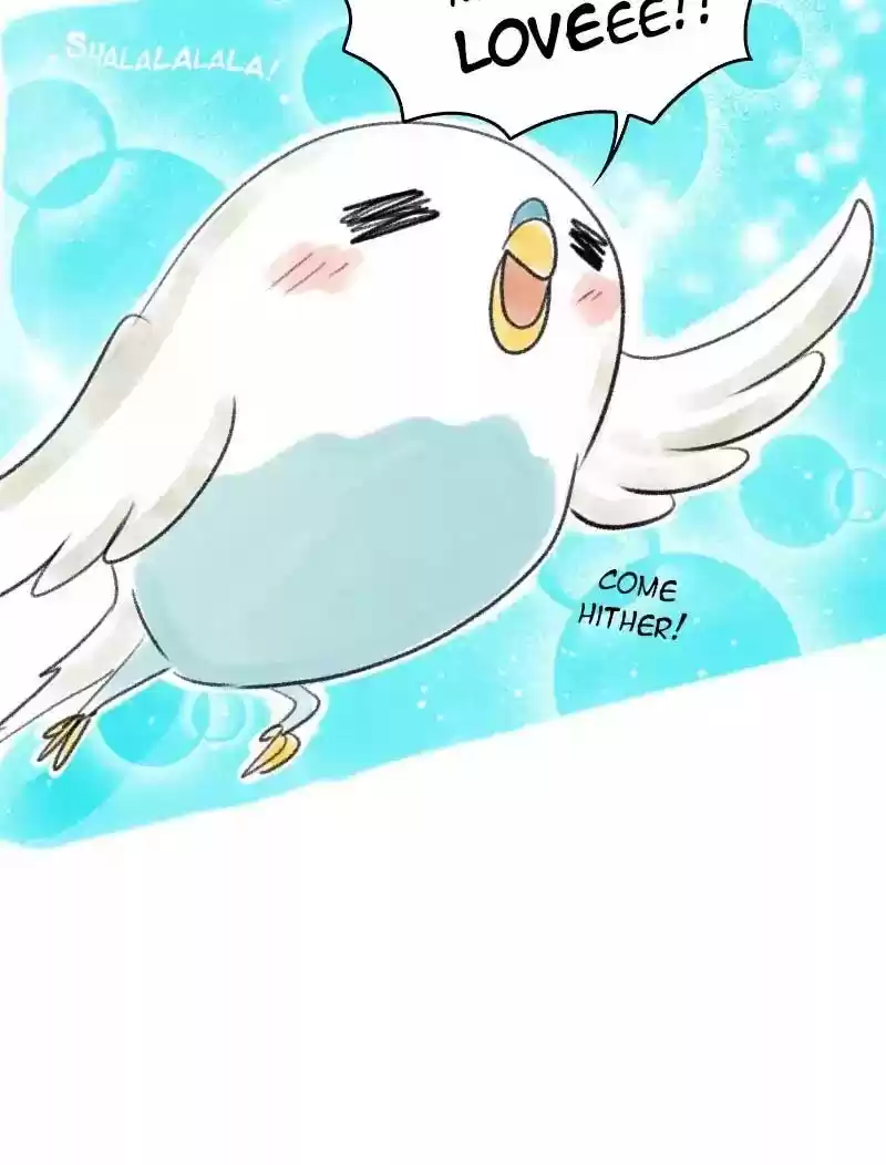 A Budgie's Life Chapter 28: Ep.28: