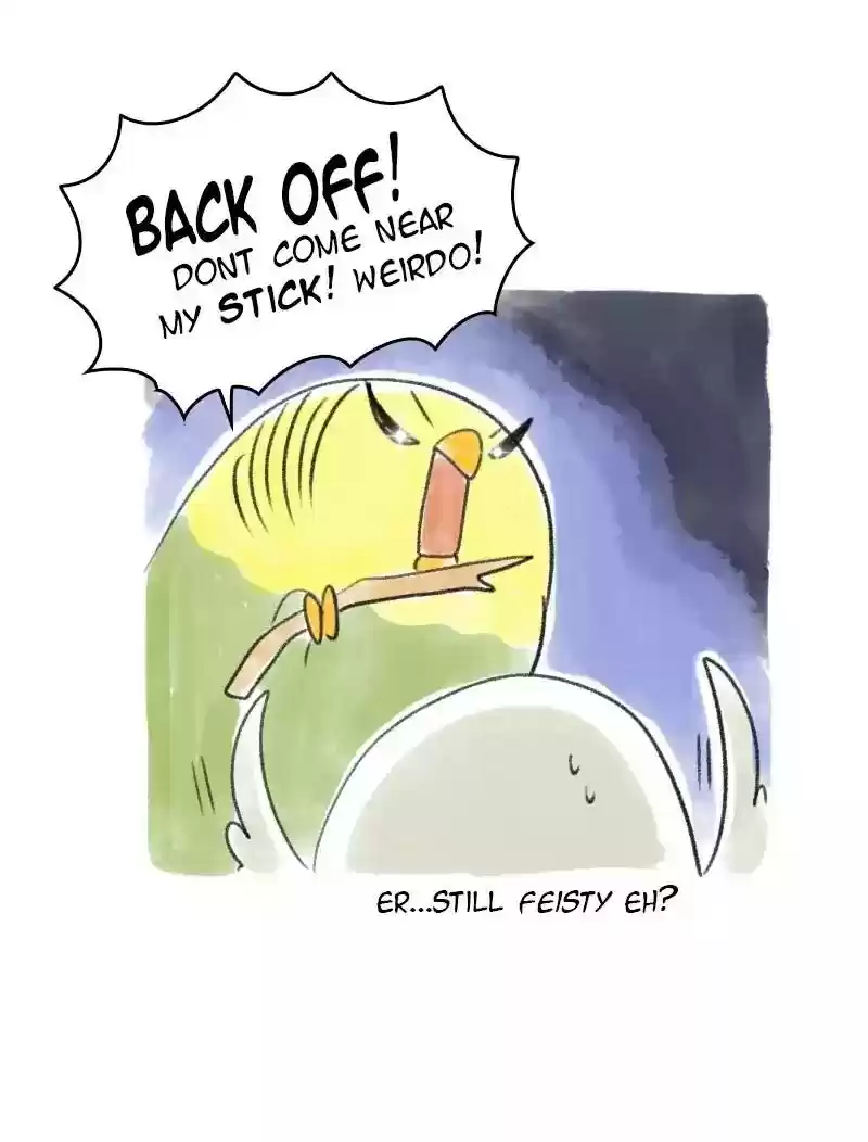 A Budgie's Life Chapter 28: Ep.28: