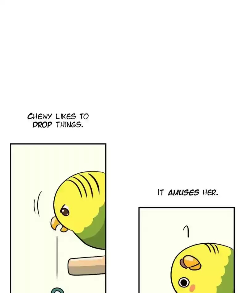 A Budgie's Life Chapter 280: Ep.279:
