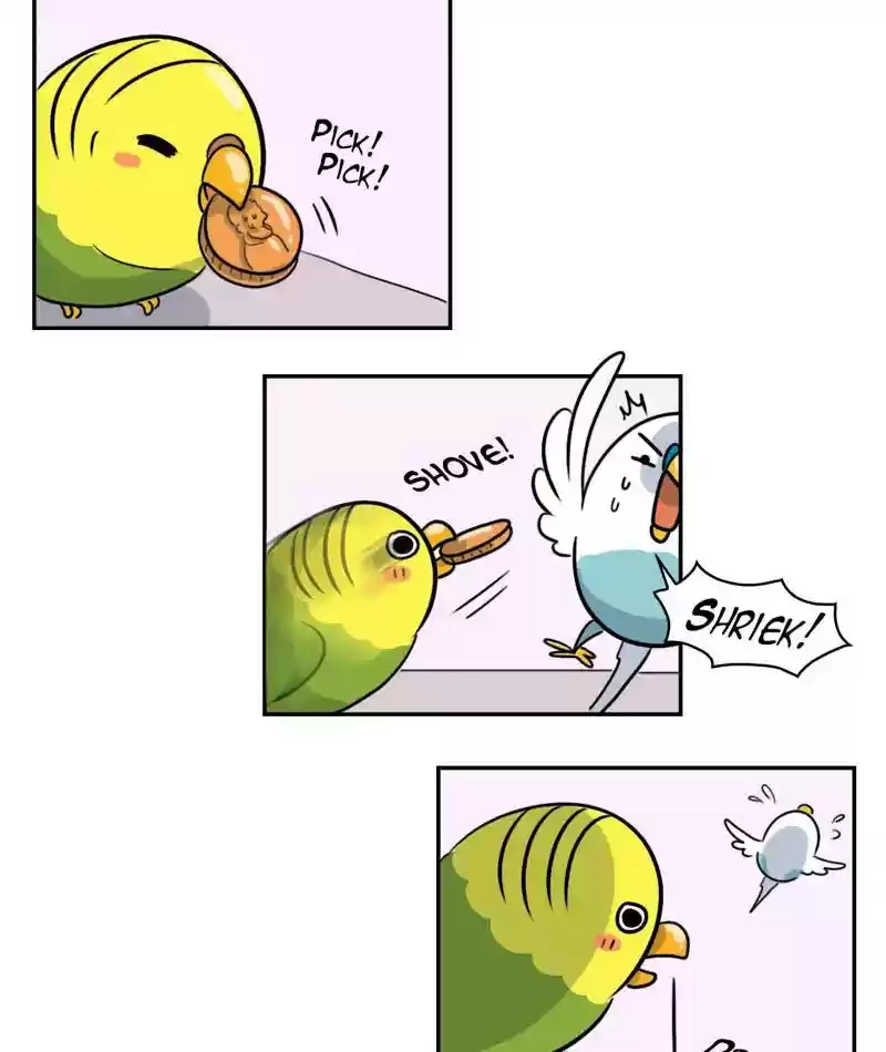 A Budgie's Life Chapter 280: Ep.279: