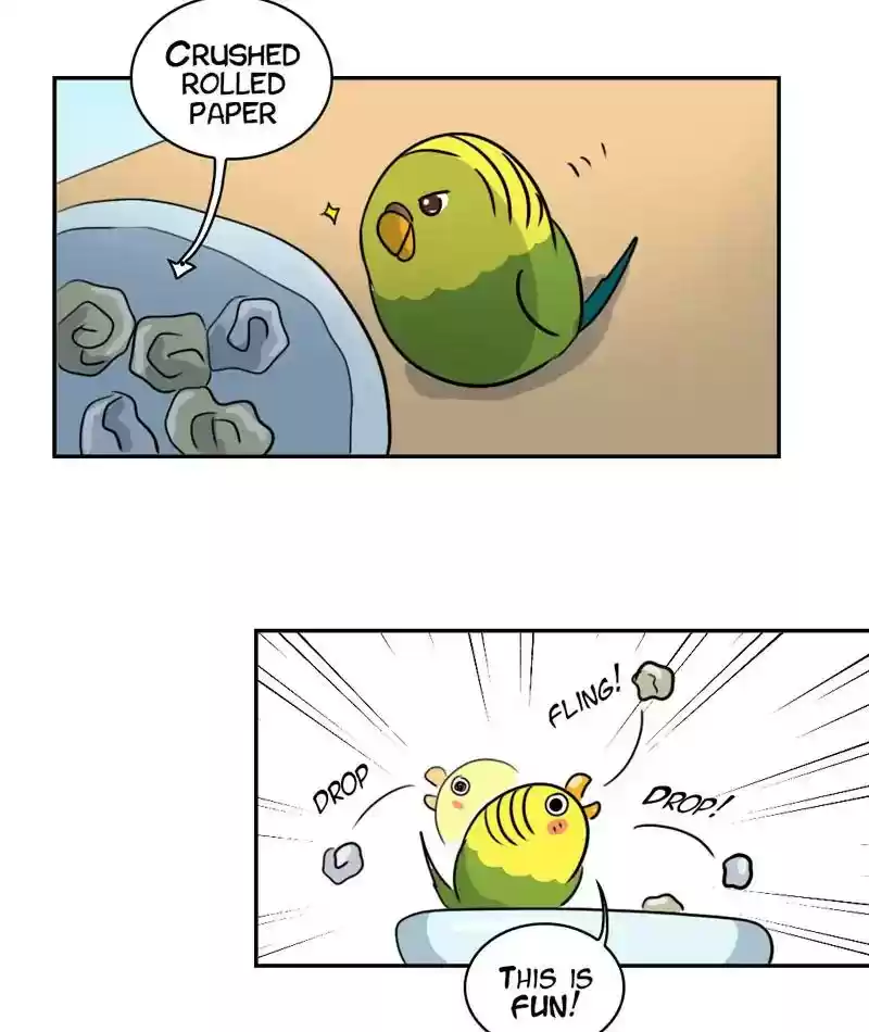 A Budgie's Life Chapter 280: Ep.279: