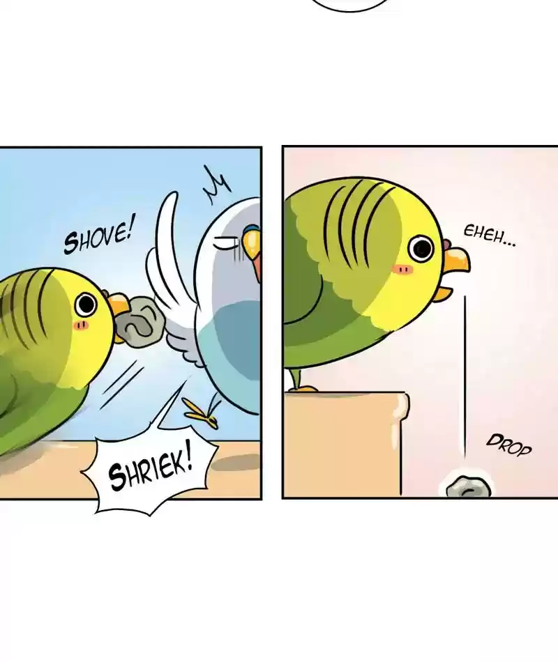 A Budgie's Life Chapter 280: Ep.279: