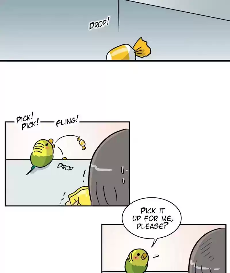 A Budgie's Life Chapter 280: Ep.279: