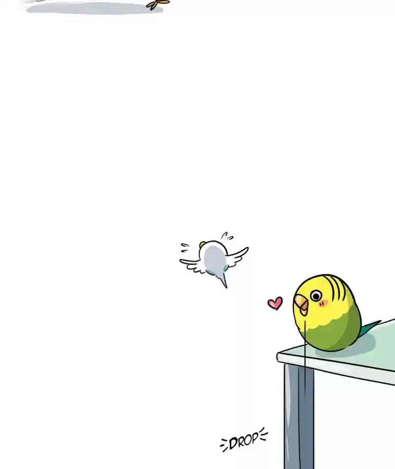 A Budgie's Life Chapter 280: Ep.279: