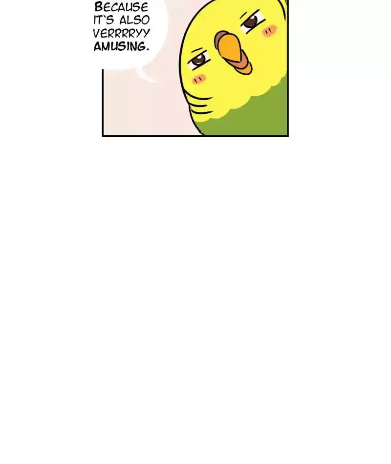 A Budgie's Life Chapter 280: Ep.279: