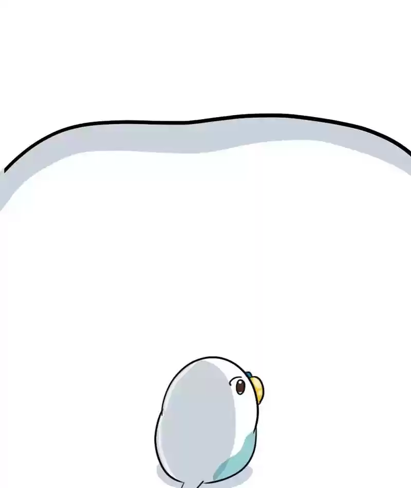 A Budgie's Life Chapter 281: Ep.280: