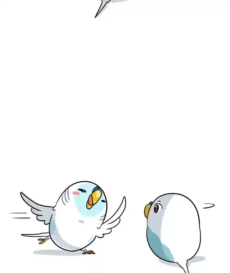 A Budgie's Life Chapter 281: Ep.280:
