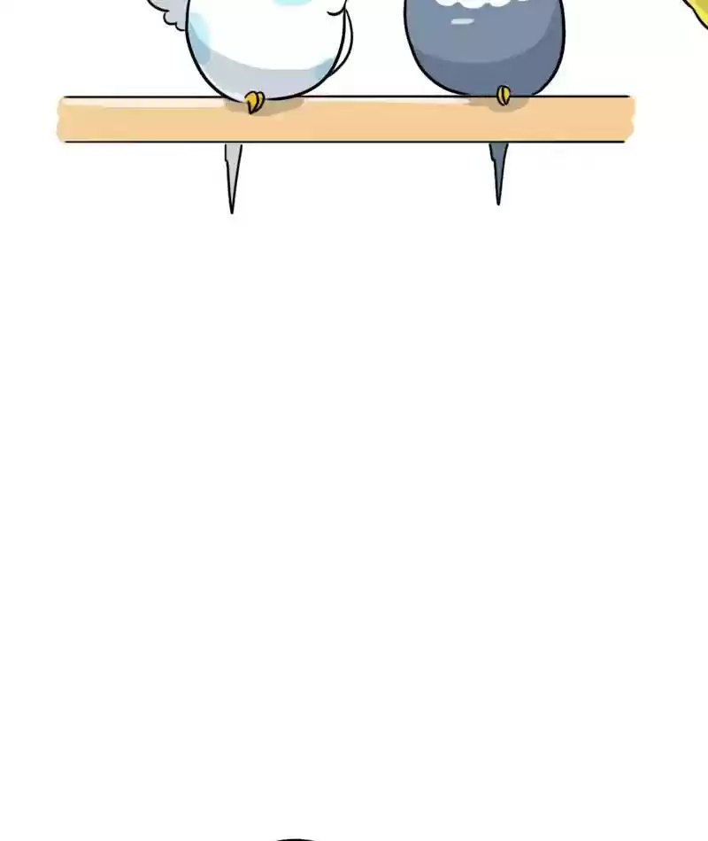 A Budgie's Life Chapter 281: Ep.280: