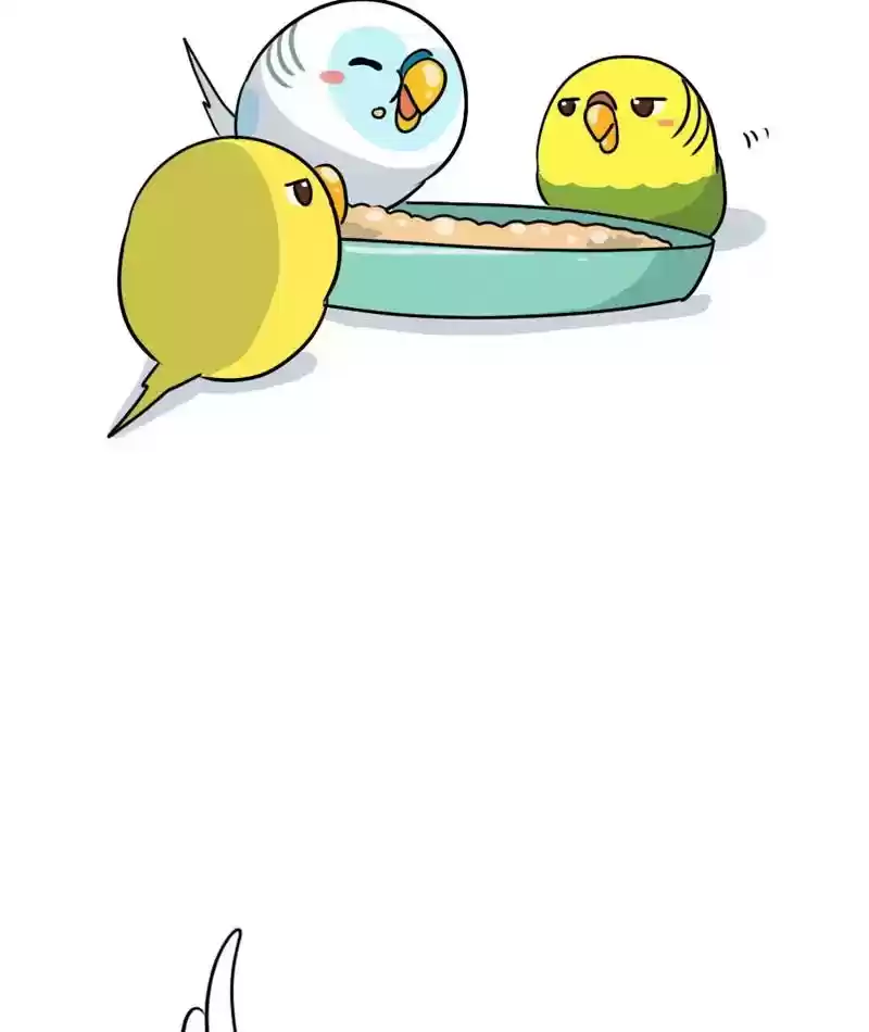 A Budgie's Life Chapter 281: Ep.280: