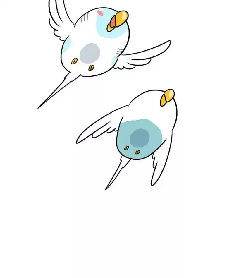 A Budgie's Life Chapter 281: Ep.280: