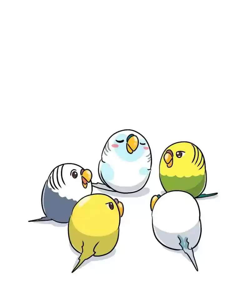 A Budgie's Life Chapter 281: Ep.280: