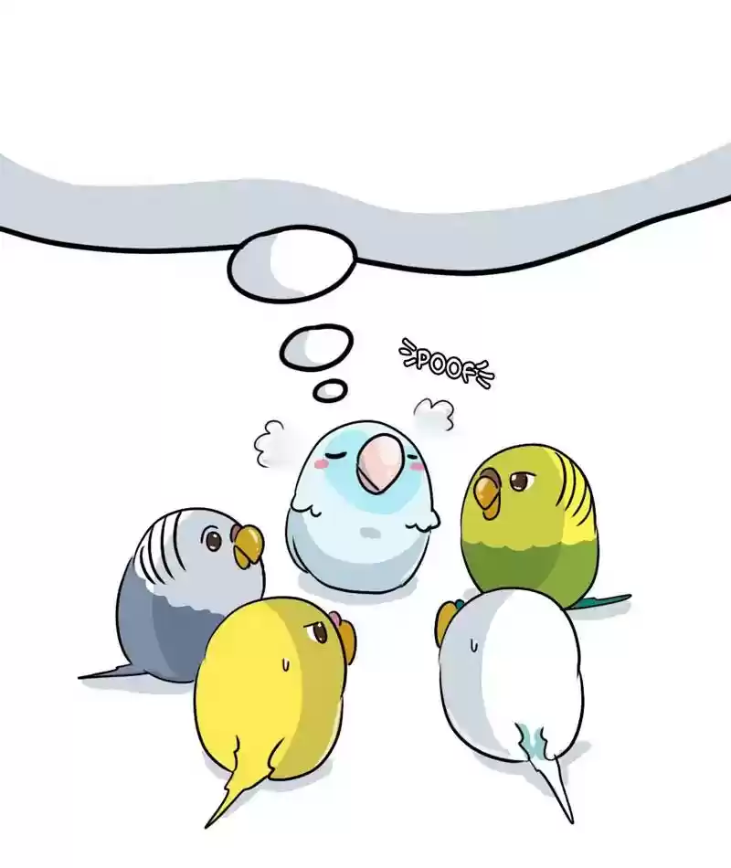 A Budgie's Life Chapter 281: Ep.280:
