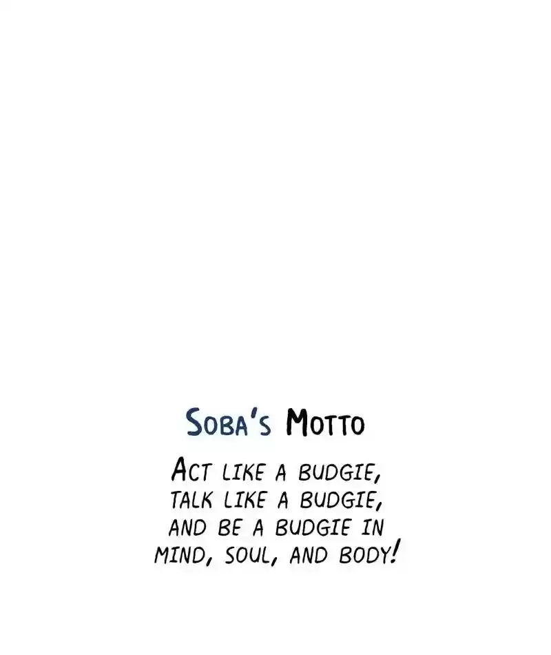 A Budgie's Life Chapter 281: Ep.280: