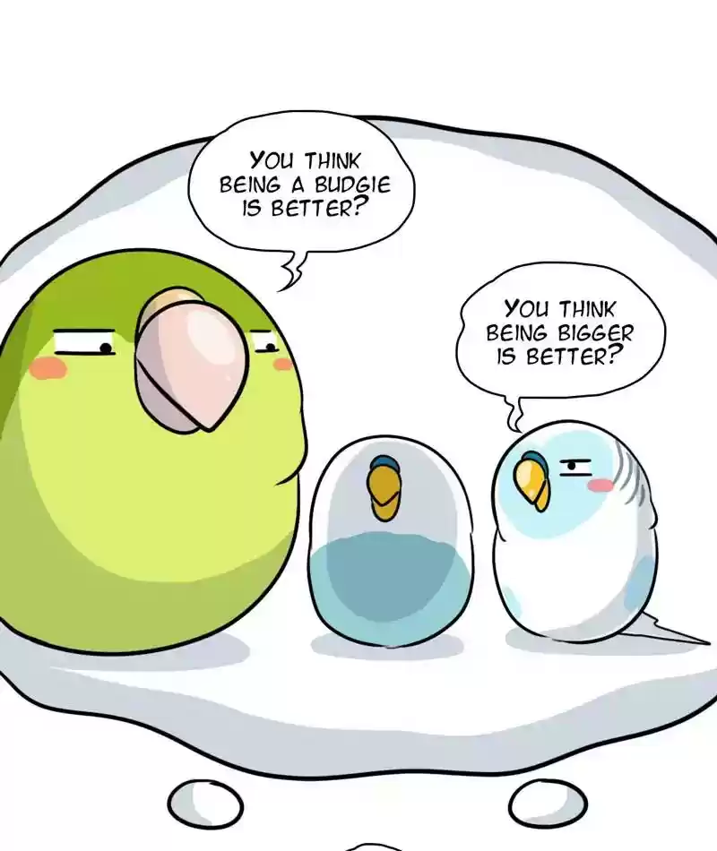 A Budgie's Life Chapter 281: Ep.280: