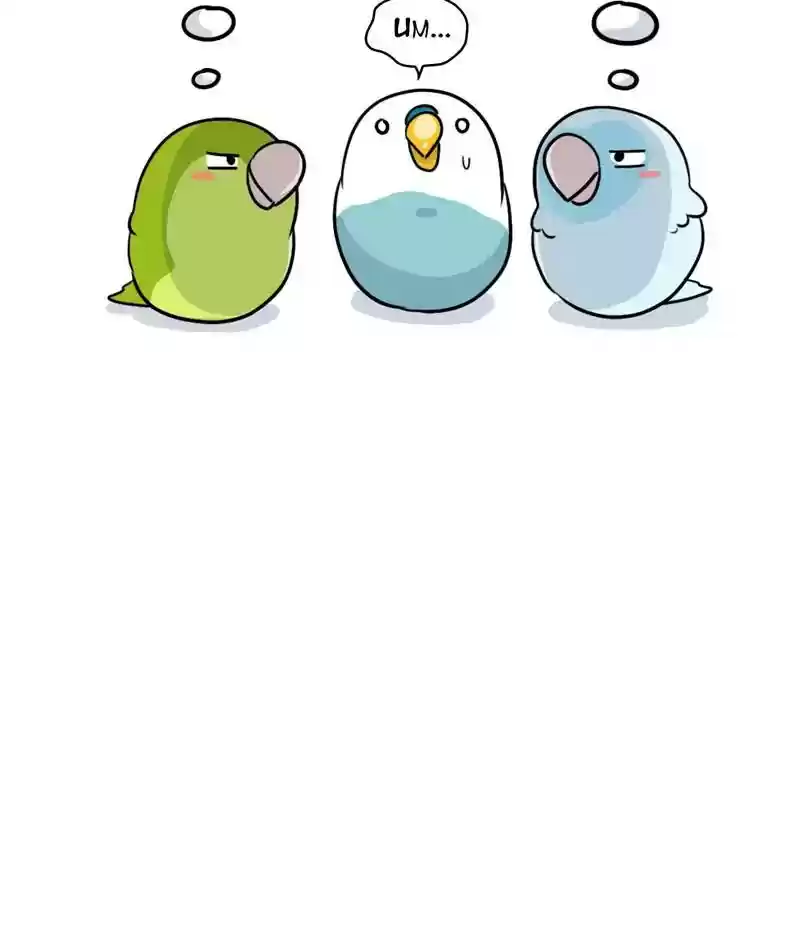 A Budgie's Life Chapter 281: Ep.280: