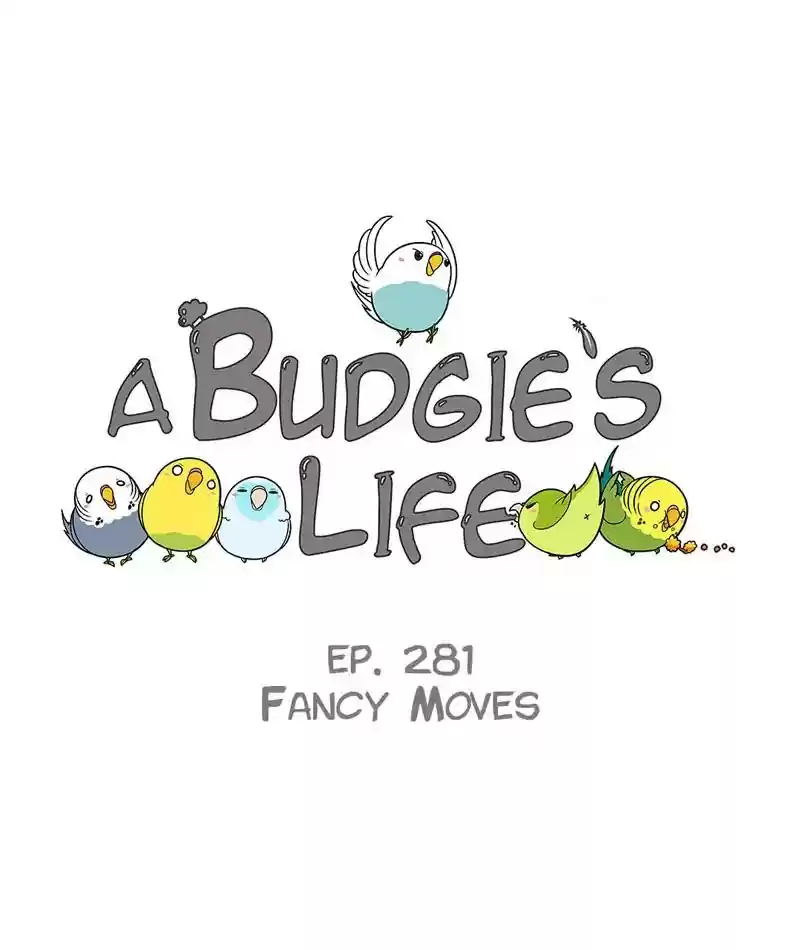 A Budgie's Life Chapter 282: Ep.281: