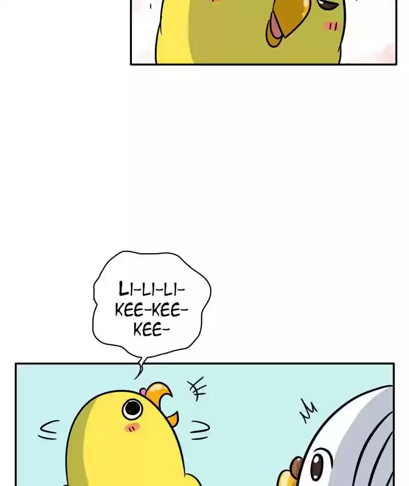 A Budgie's Life Chapter 282: Ep.281: