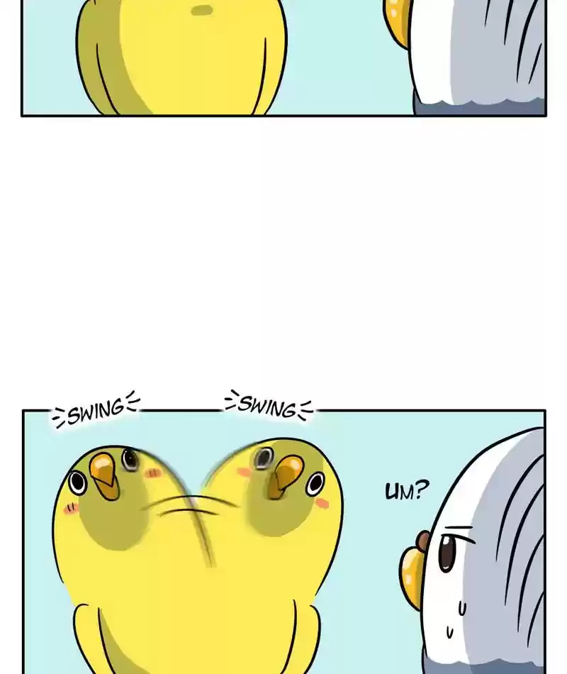 A Budgie's Life Chapter 282: Ep.281: