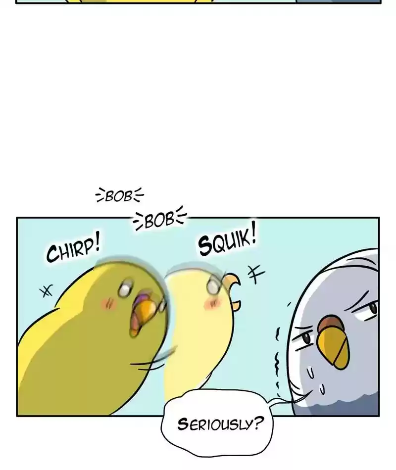 A Budgie's Life Chapter 282: Ep.281: