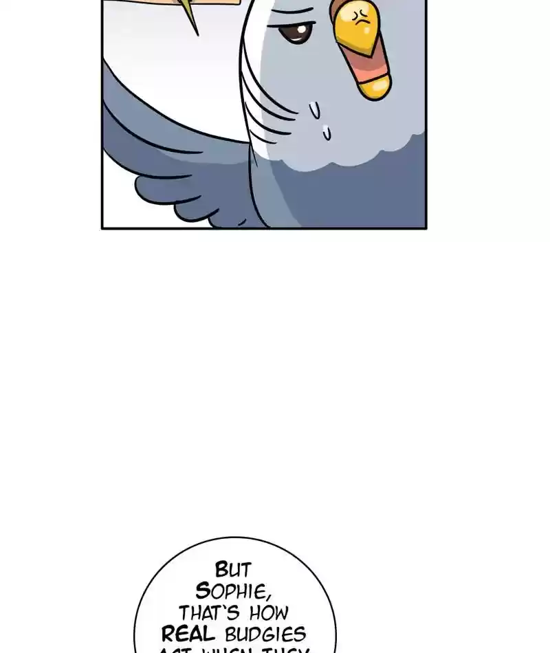 A Budgie's Life Chapter 282: Ep.281: