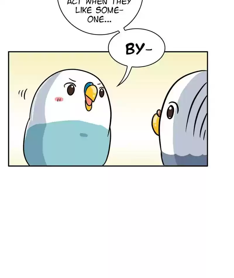 A Budgie's Life Chapter 282: Ep.281: