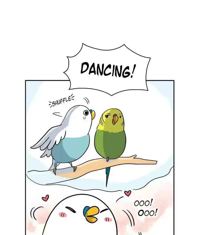 A Budgie's Life Chapter 282: Ep.281: