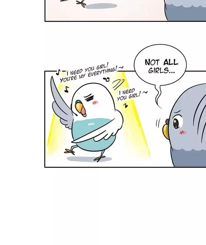 A Budgie's Life Chapter 282: Ep.281: