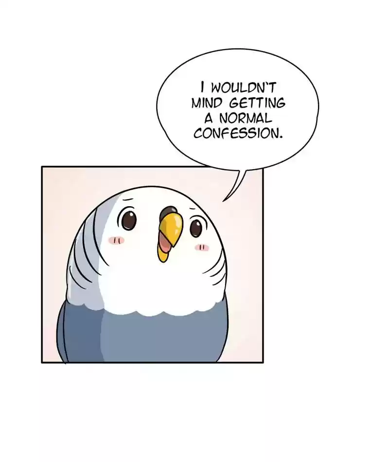 A Budgie's Life Chapter 282: Ep.281: