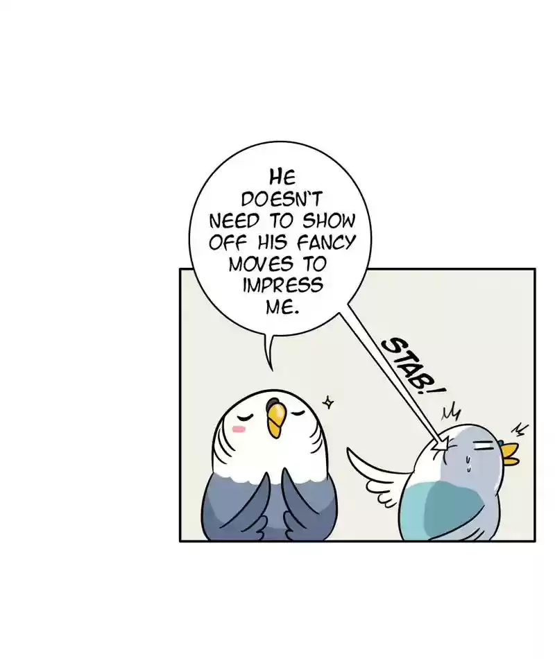 A Budgie's Life Chapter 282: Ep.281: